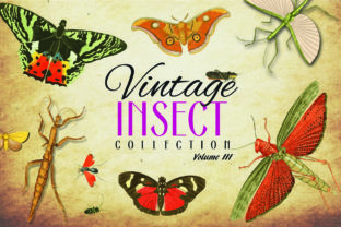 172 Vintage Insect Vector Graphics 3: A Treasure Trove for Designers and Creators