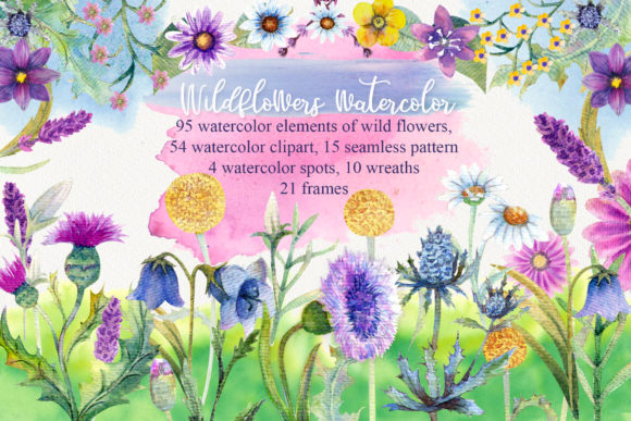 Wild Flowers Watercolor: A Strategic Resource for Creative and Business Projects