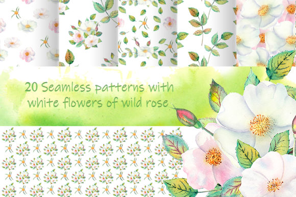 Wild Rose White Flowers Background
